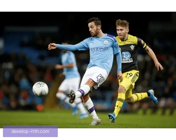 南安普顿足球俱乐部百年沉浮与阵容重塑及英超征程前景分析